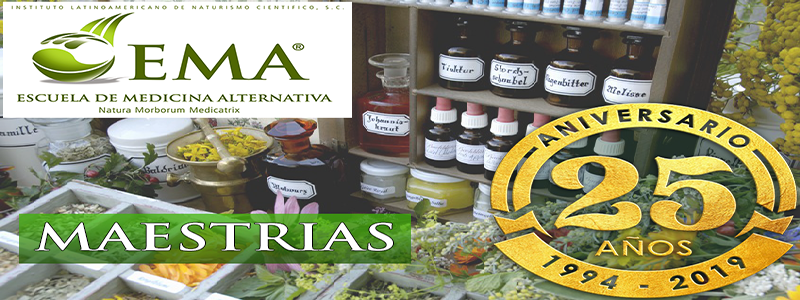 Maestría